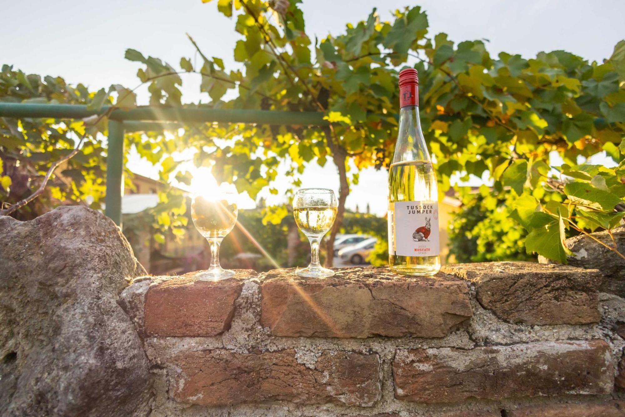 Penzion Moravská oáza Valtice Esterno foto